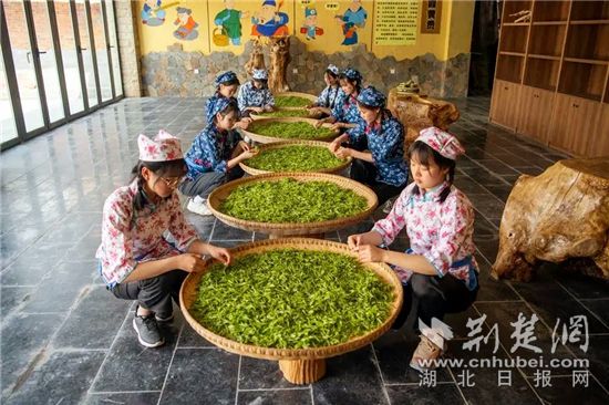 远安黄茶鹿苑村图片