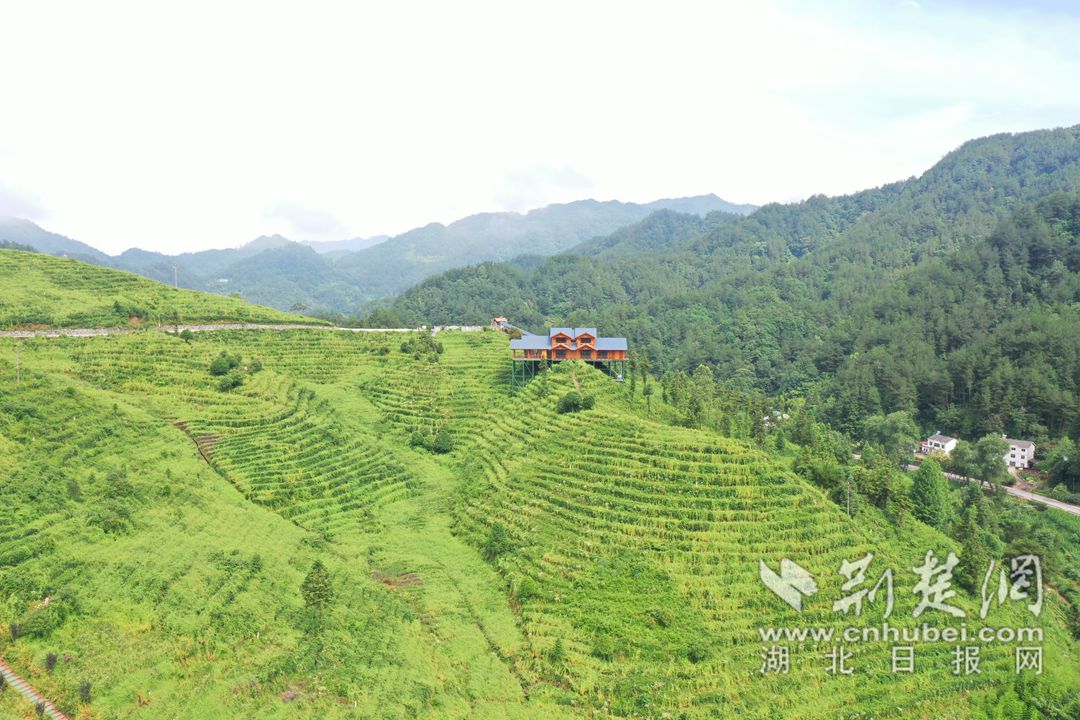 在兴山县水月寺镇的马粮坪村茶旅融合综合体"等风来"王家小院儿"等