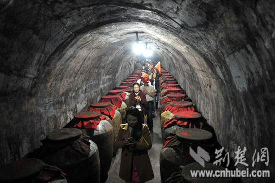 巴东举办武陵酒都论坛 企业家专家品酒论发展